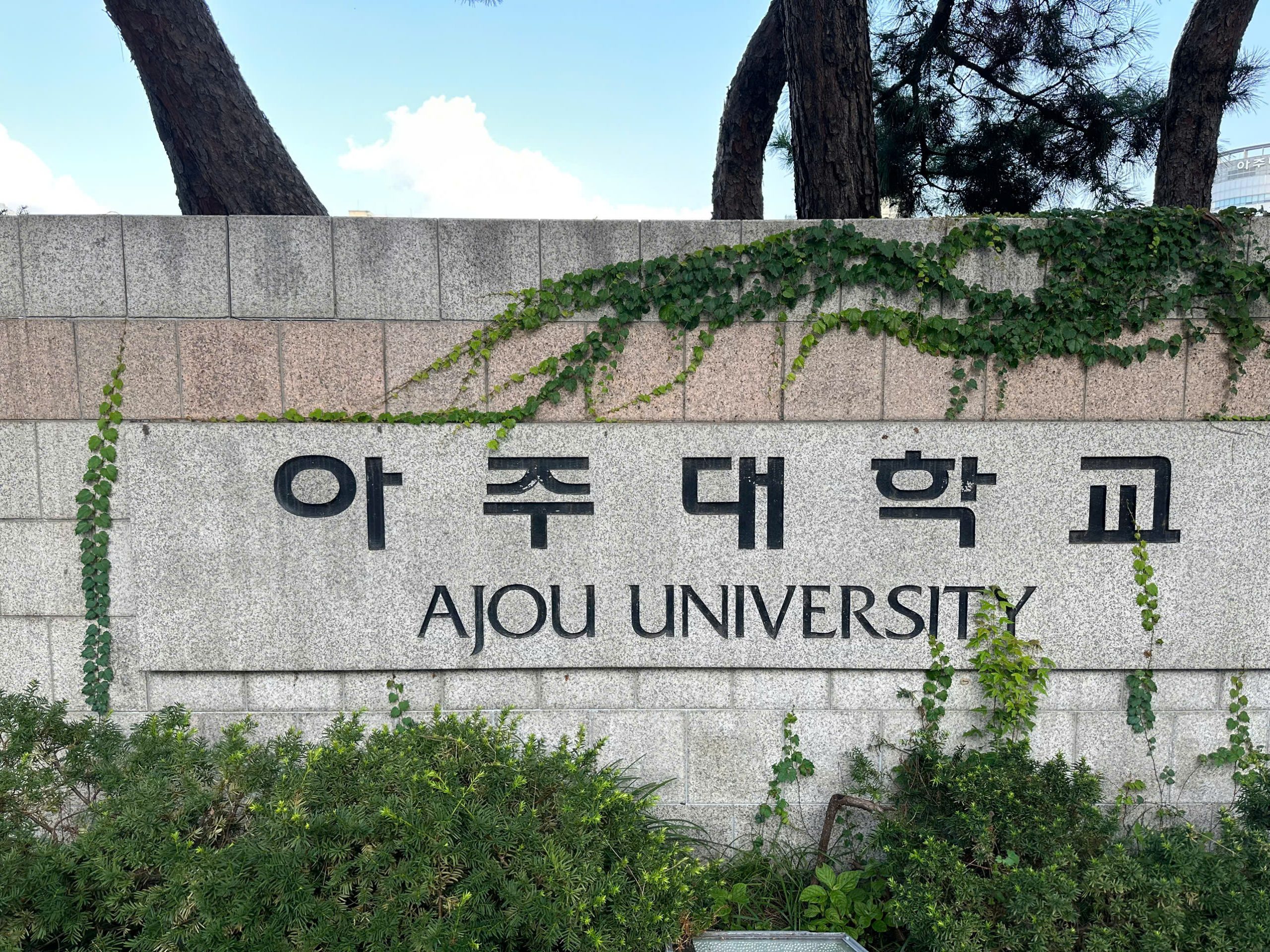 Đại học Ajou