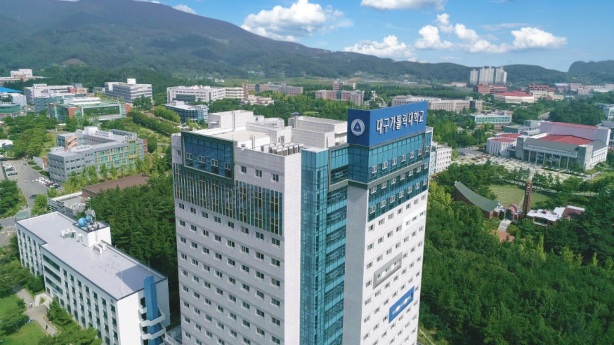 Đại học Daegu Catholic