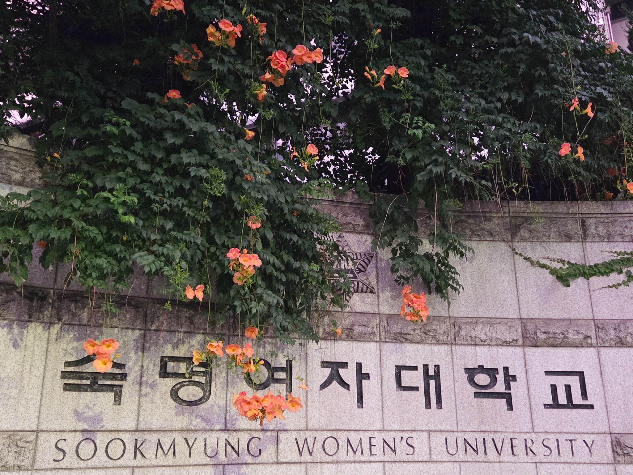Đại học Nữ Sookmyung