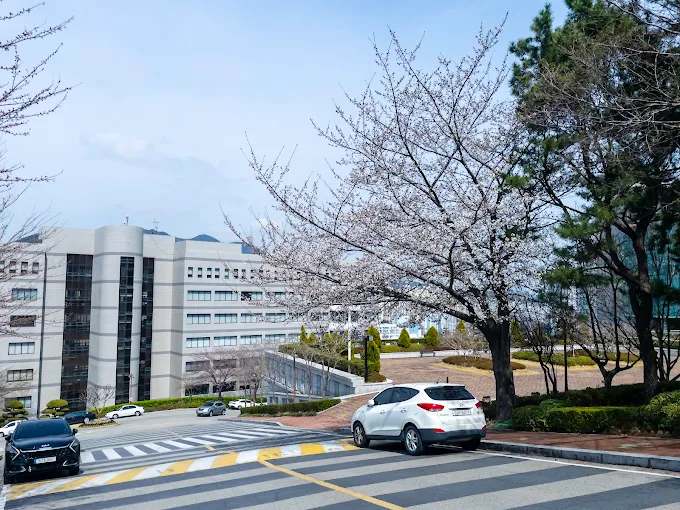 Đại học Dongseo