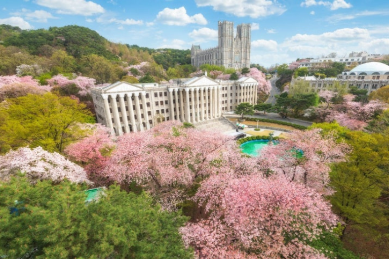 Đại học có khuôn viên đẹp nhất Hàn Quốc