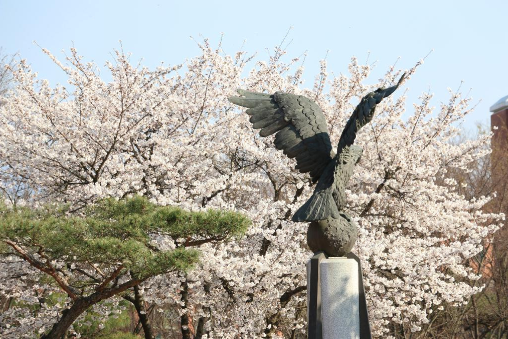 Cao đẳng văn hóa Keimyung