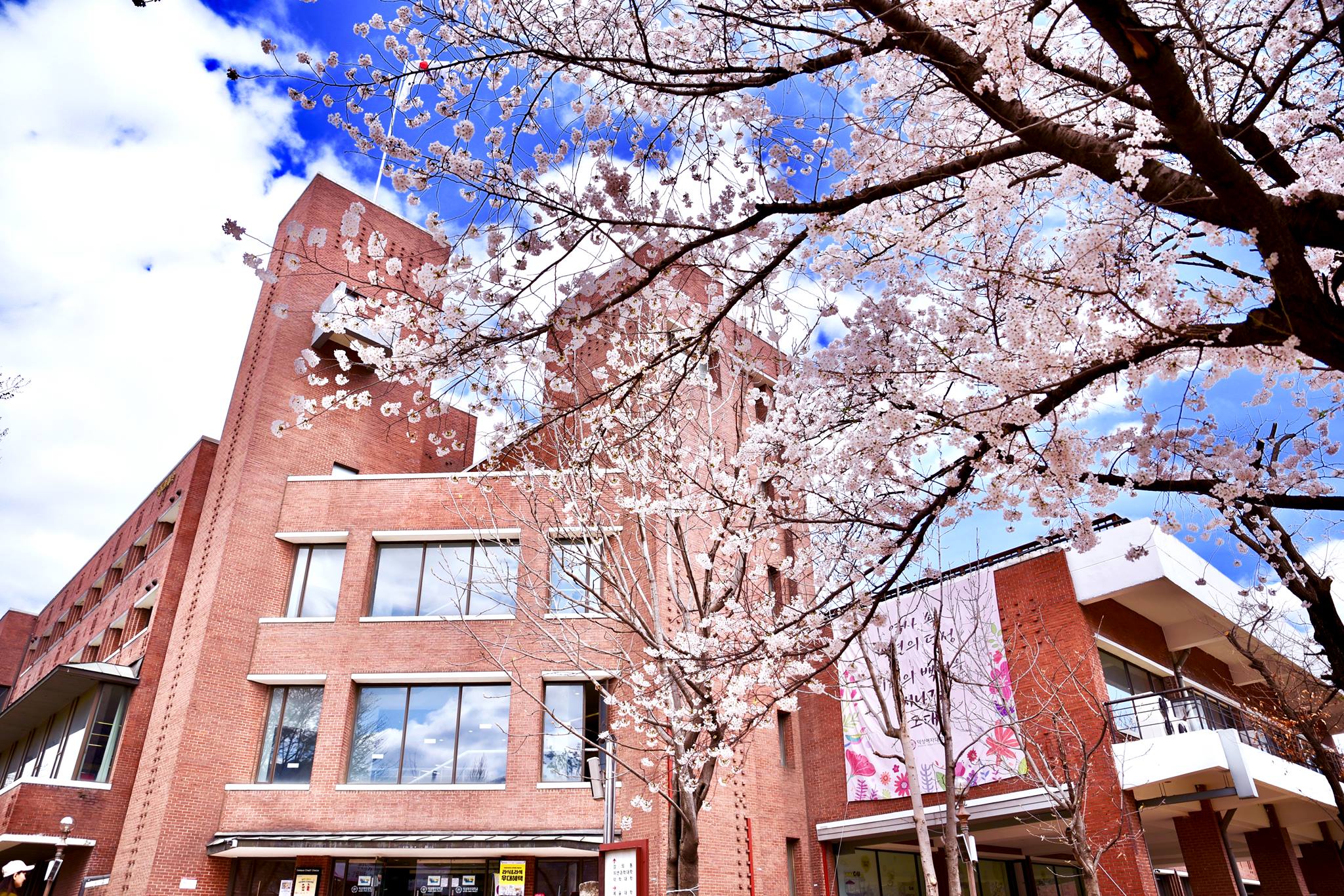 Đại học nữ Duksung Hàn Quốc