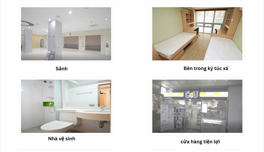 Tiện ích bên trong KTX