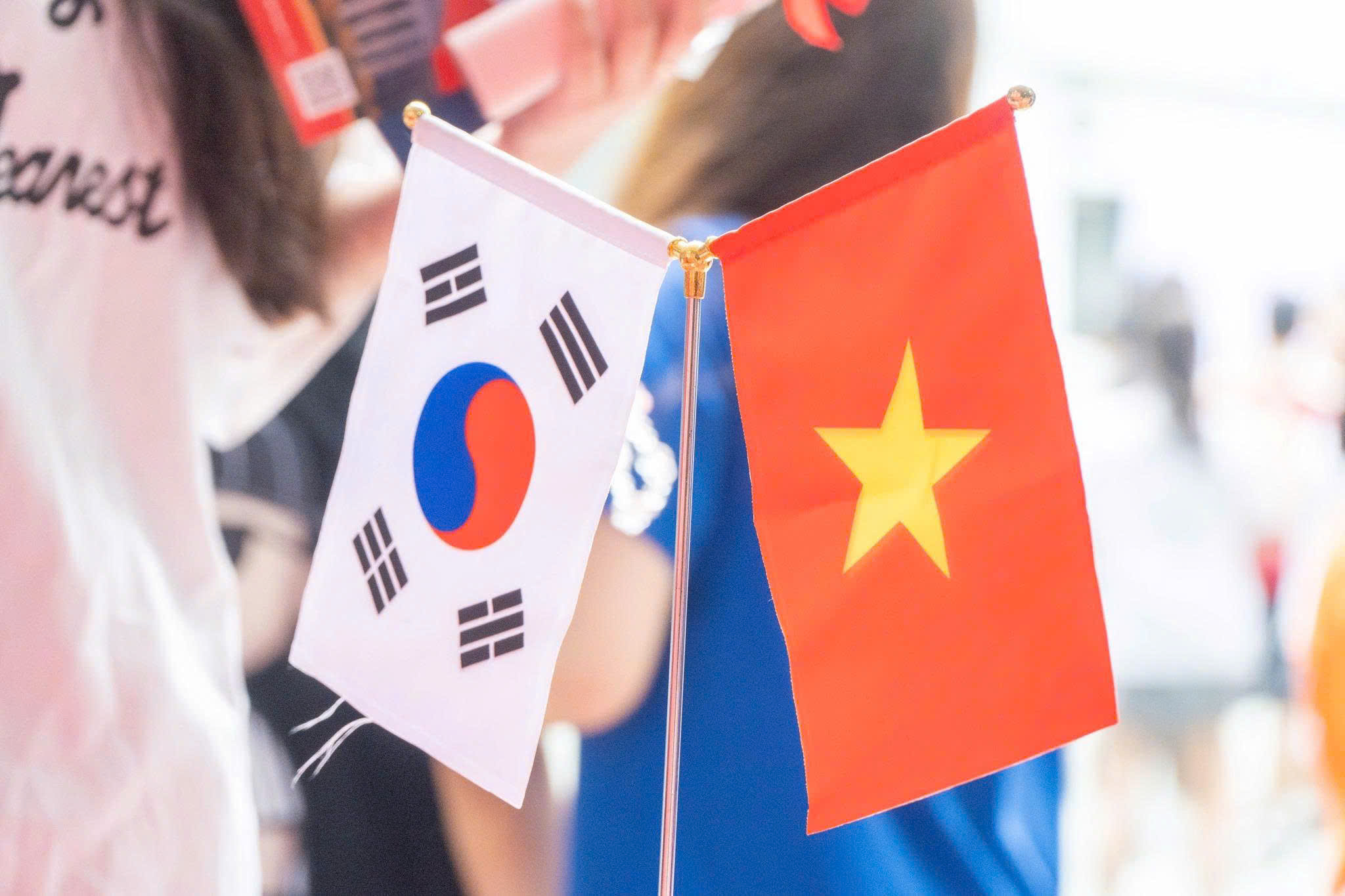 VIKOGO- Du học Hàn Quốc