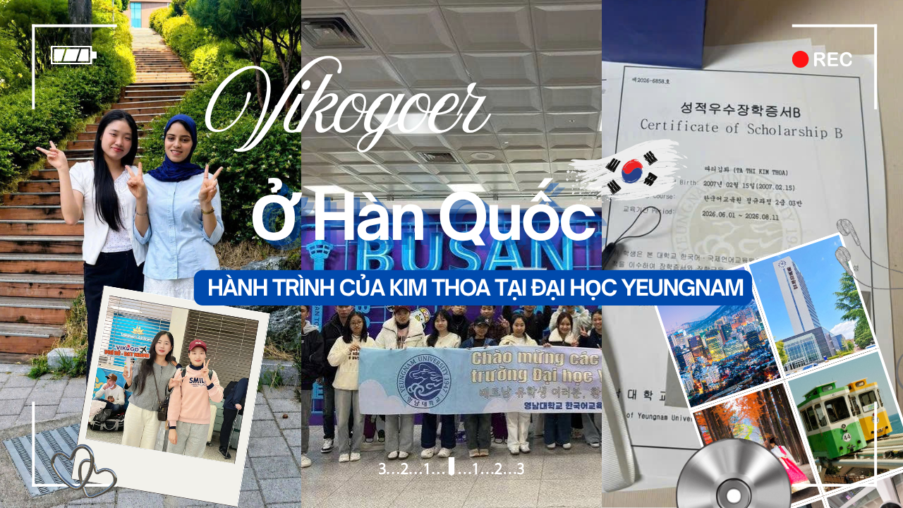 VIKOGOer ở Hàn Quốc