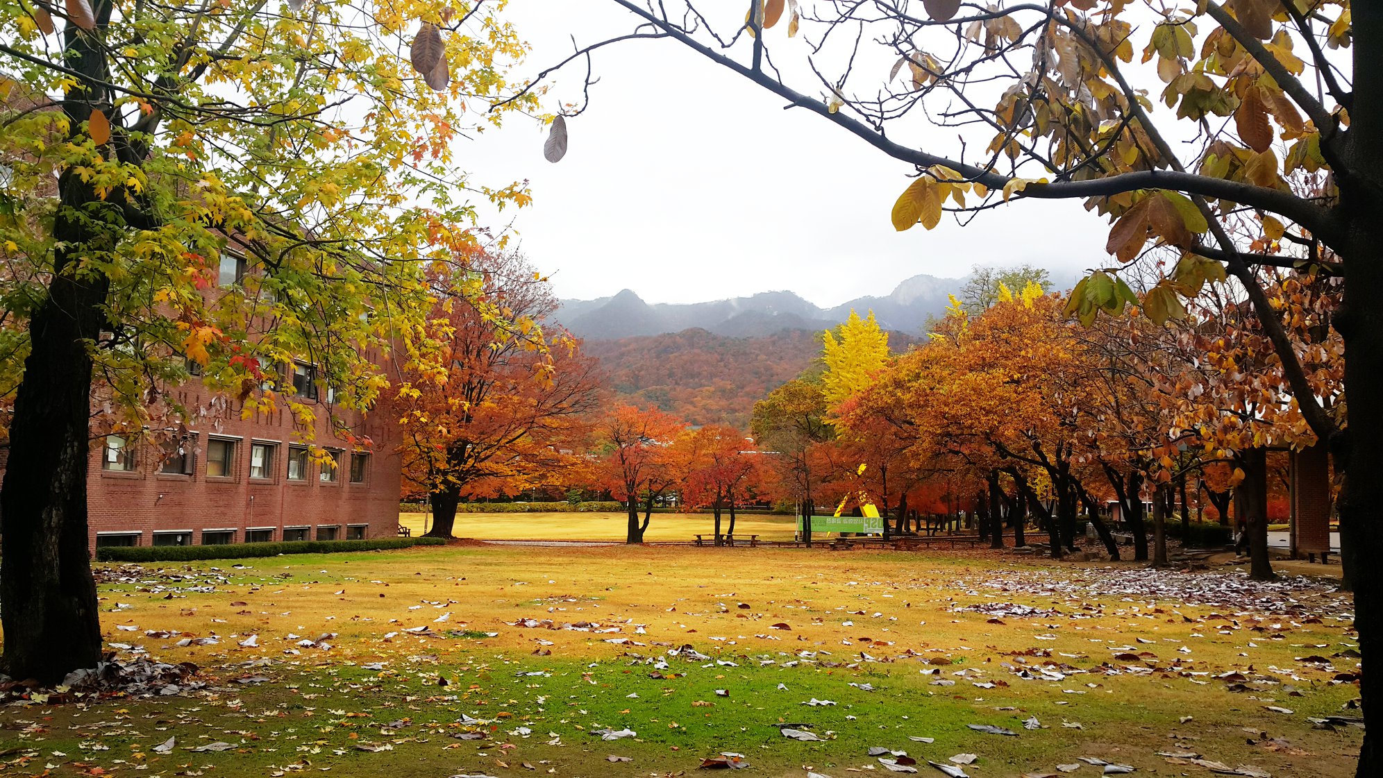 Duksung Women’s University