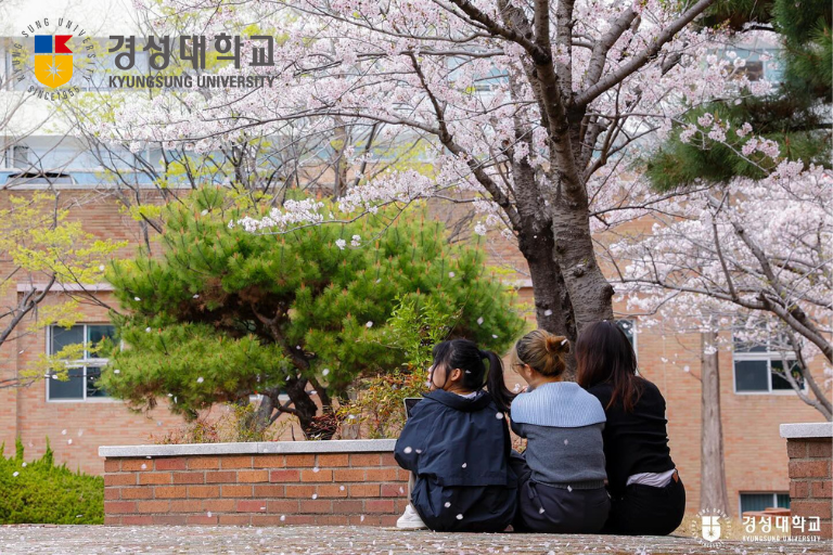 Dai-hoc-kyungsung-truong-dai-hoc-tu-thuc-hang-dau-busan 1