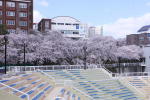Dai-hoc-masan 1