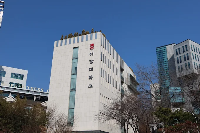 서강대학교